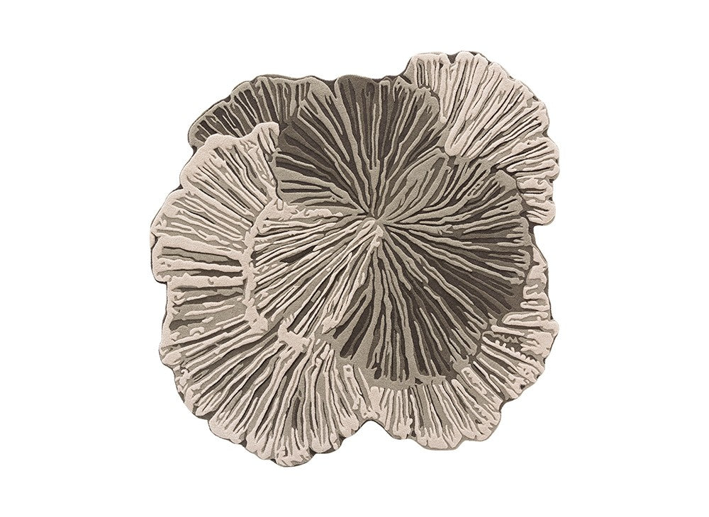 Apex Hand Tufted Wool Rug - Black