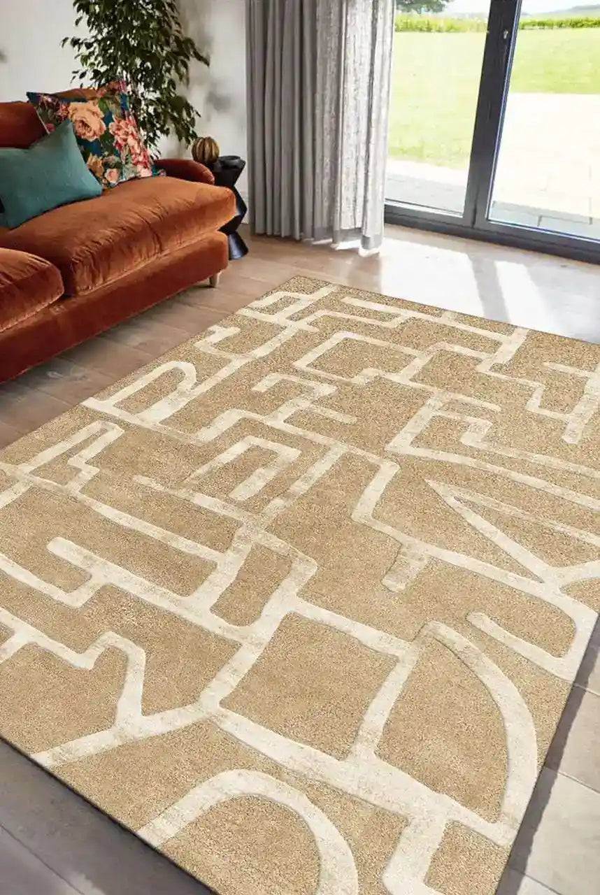 modern area rug in living room