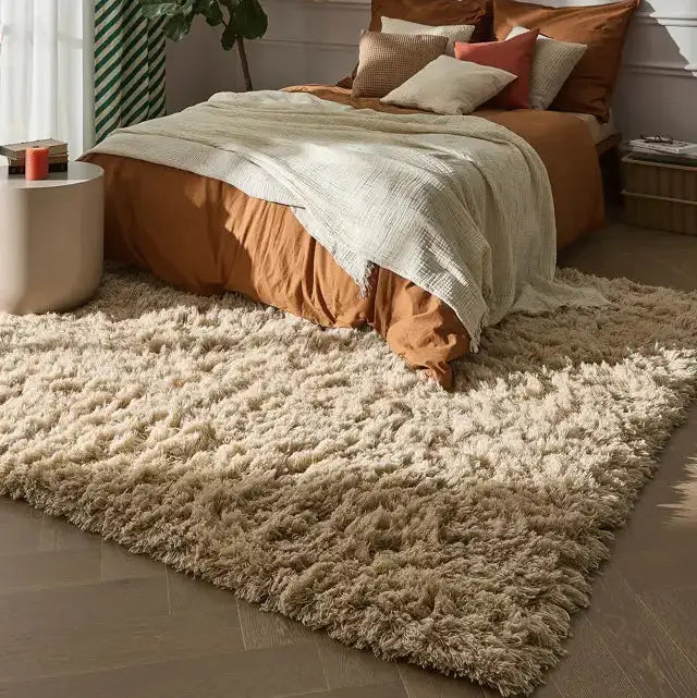 Beige shaggy rug in bedroom